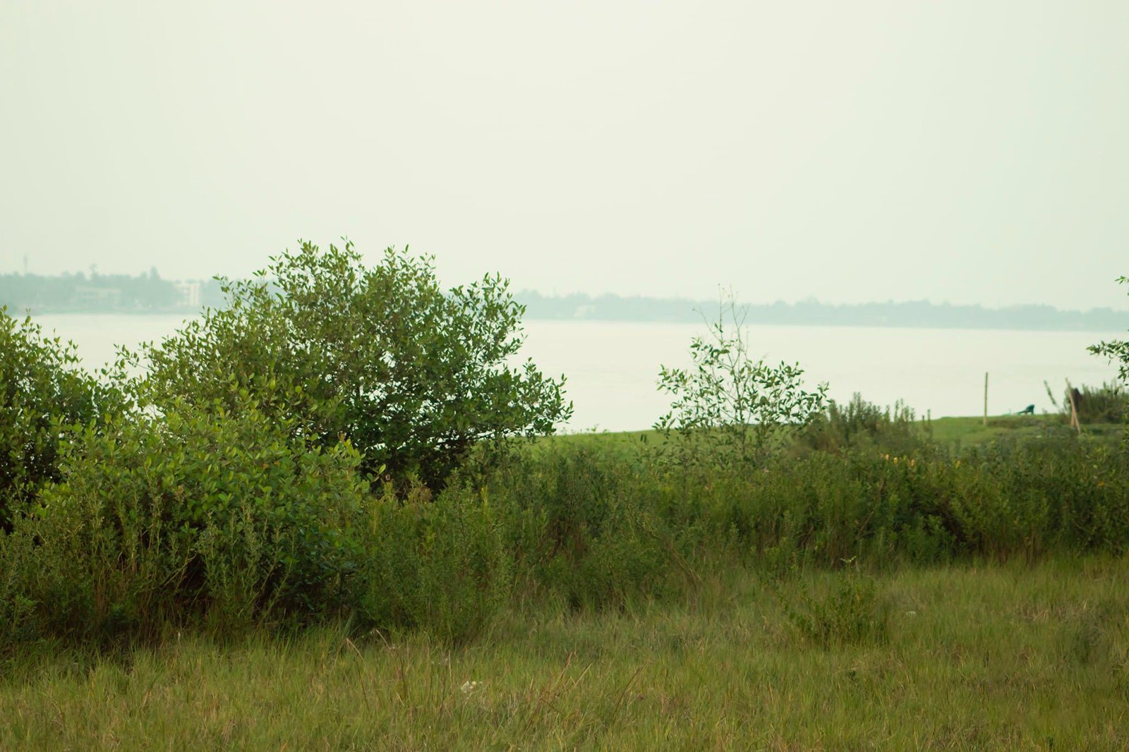 Isamoti River (6)