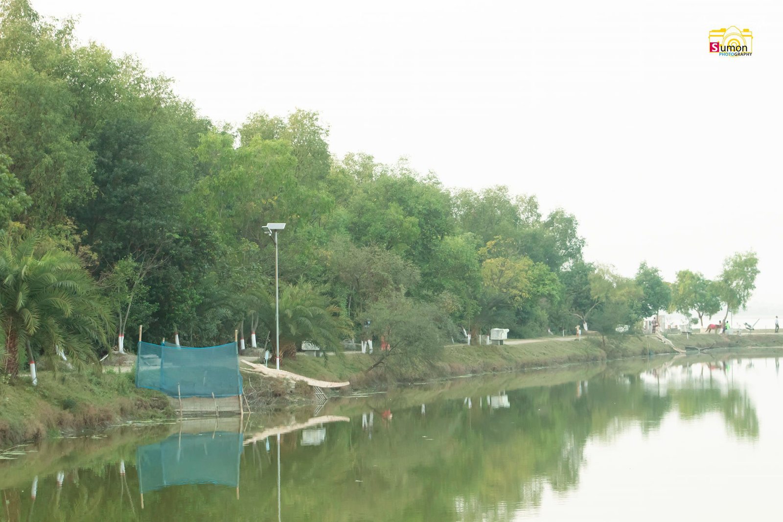 Nature (4)