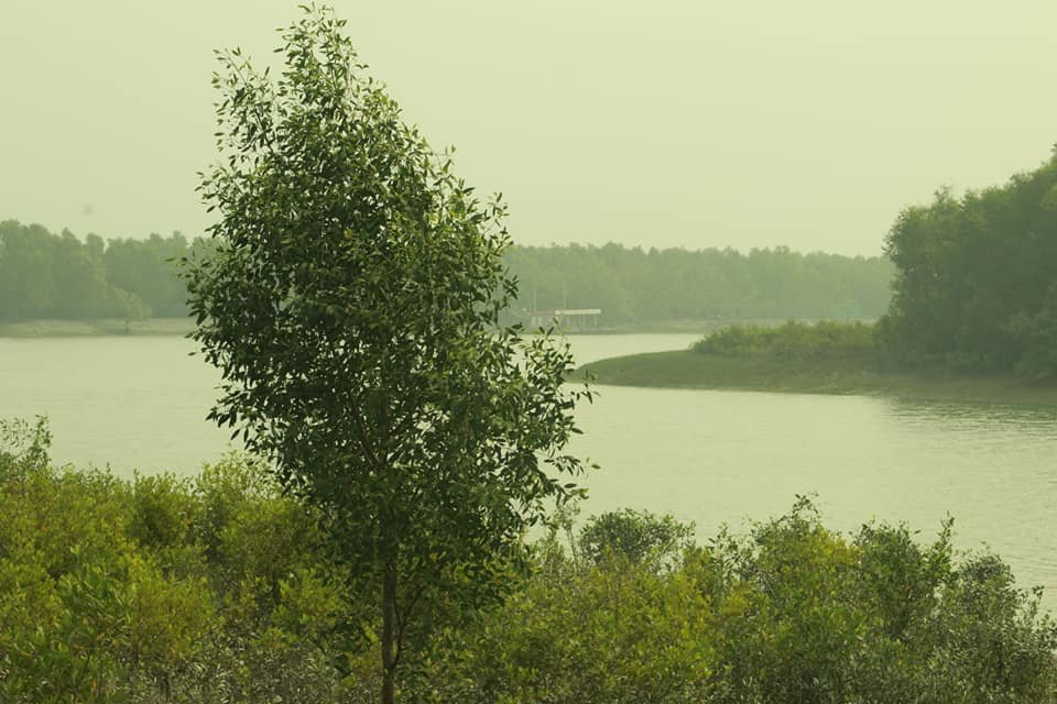 Sundarbon (2)