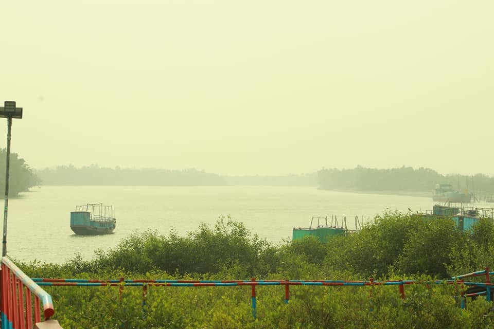Sundarbon (3)