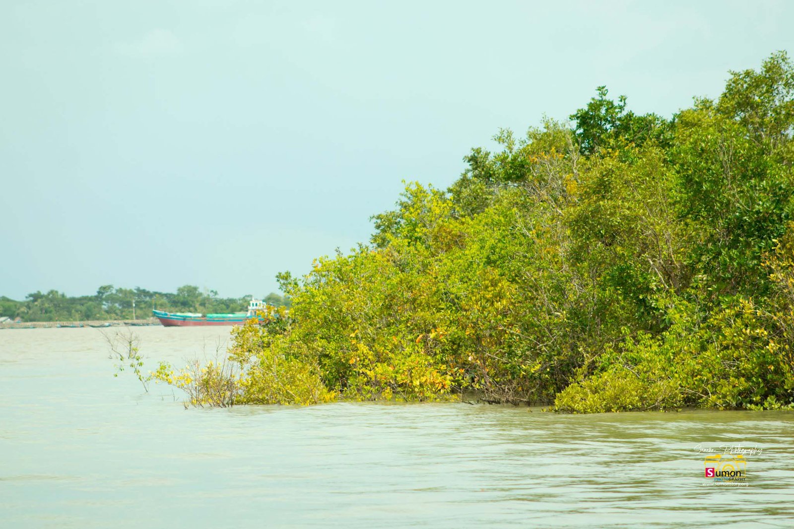 Sundarbon (5)